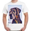 Gildan Adult Cotton Tee  Thumbnail