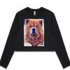 AS Colour Long Sleeve Crop Thumbnail