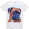 AS Colour Adult Staple Tee  Thumbnail