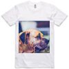 AS Colour Adult Staple Tee  Thumbnail