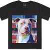 Gildan Adult Comfort Colours Tee Thumbnail
